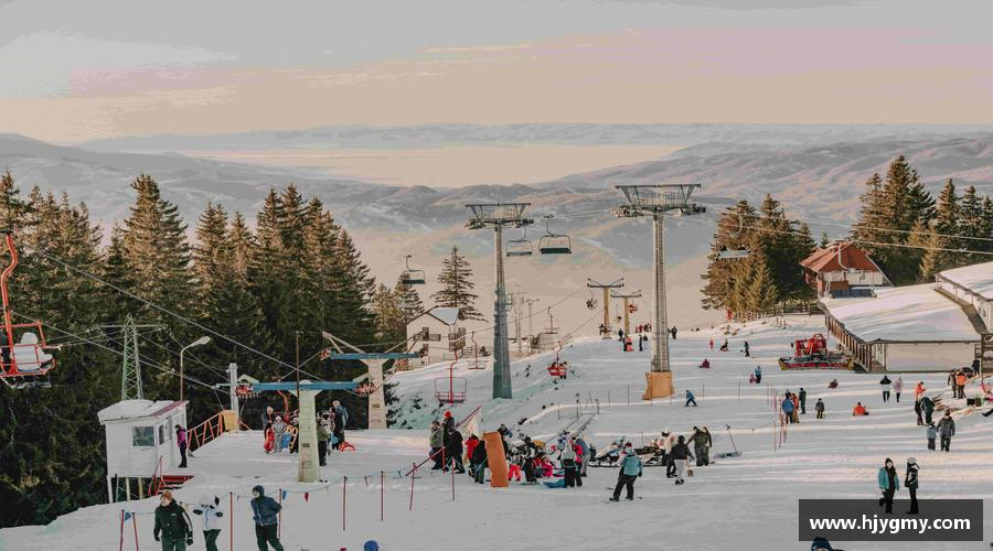 3377平台激情激发，力量无限